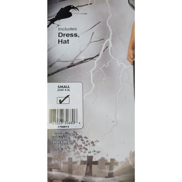 Rubies Witches Wizards Regal Witch Costume Halloween Kids Size Small (4-6) - Picture 2 of 3